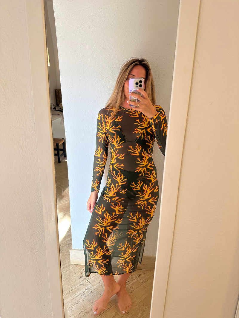 Andreina Coral de Fuego