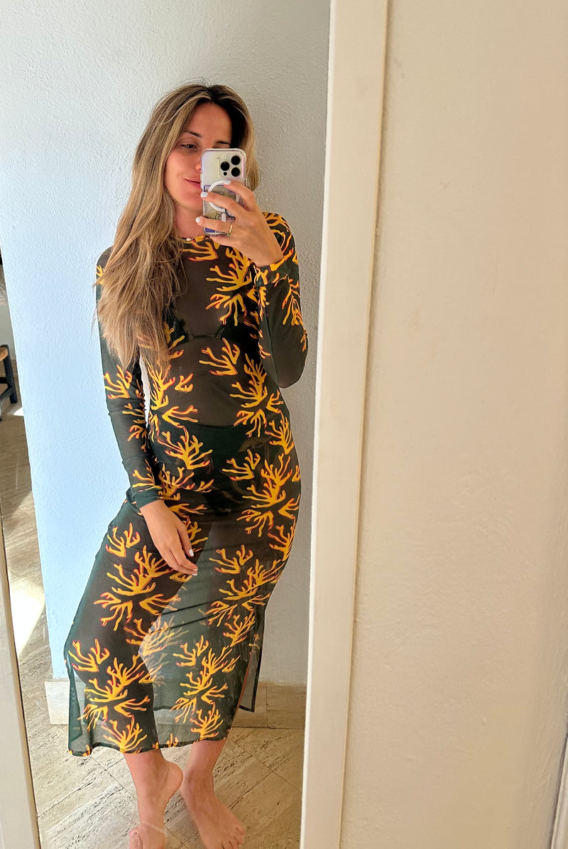 Andreina Coral de Fuego
